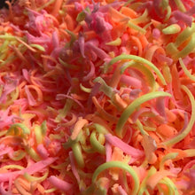 Load image into Gallery viewer, Soap worms
