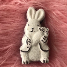 Load image into Gallery viewer, Mr Rabbit
